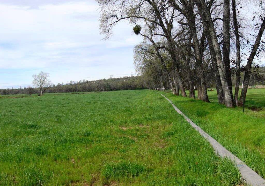 round-house-cattle-ranch-27