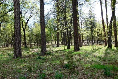 round-house-cattle-ranch-31