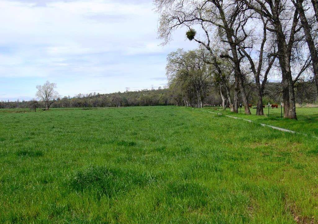 round-house-cattle-ranch-32