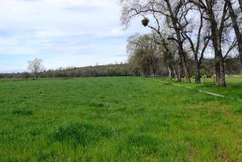 round-house-cattle-ranch-32