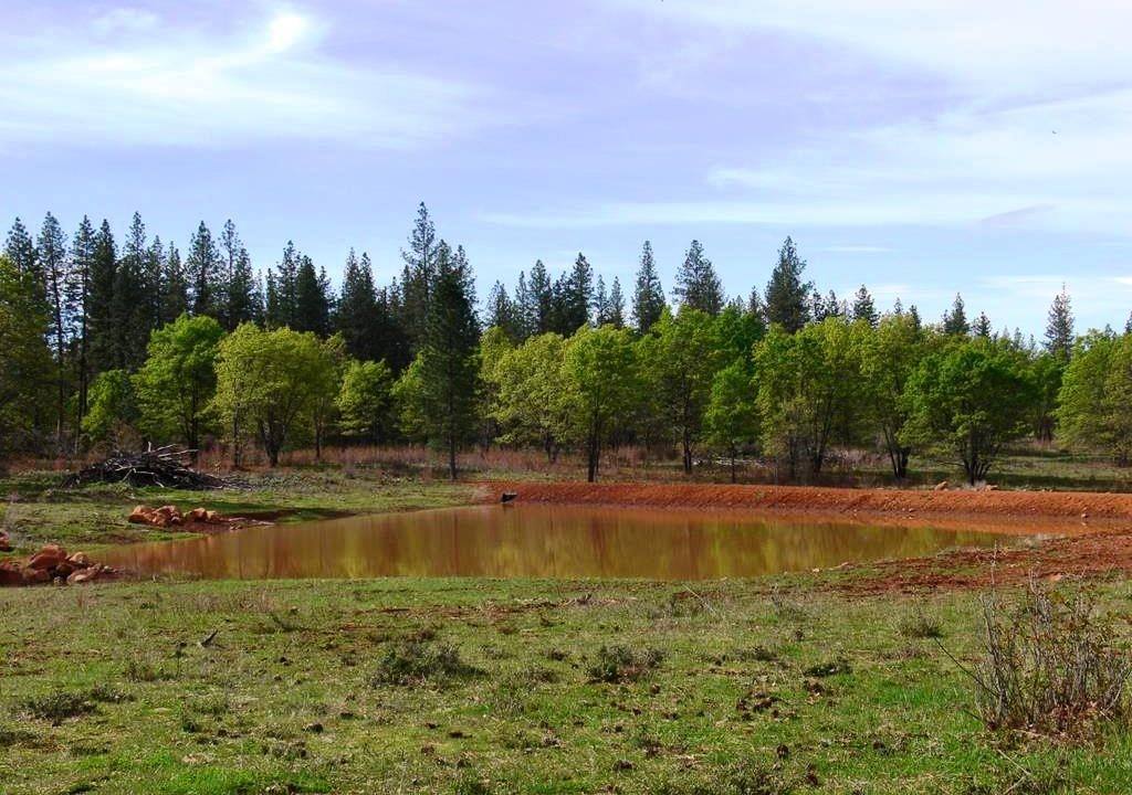 round-house-cattle-ranch-33