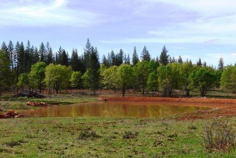 round-house-cattle-ranch-33