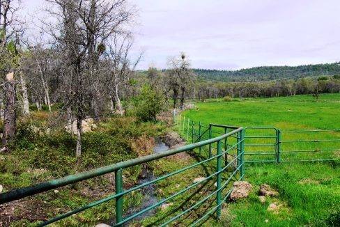 round-house-cattle-ranch-34