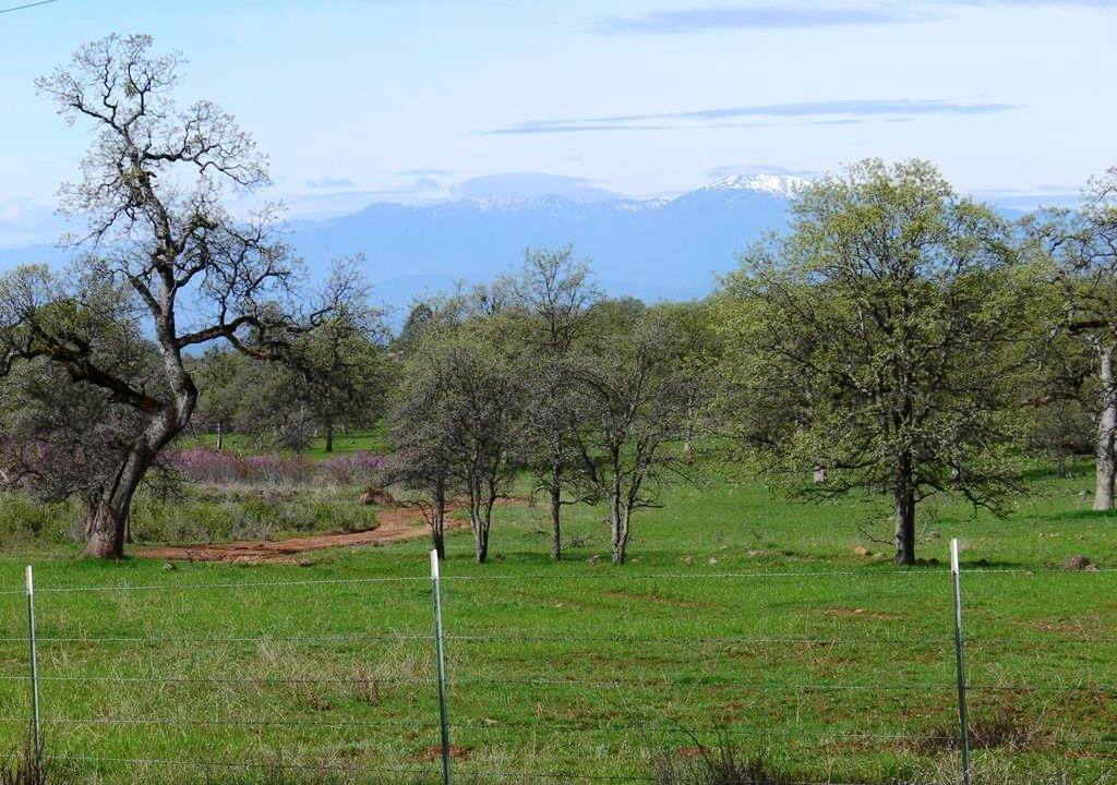 round-house-cattle-ranch-35