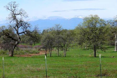 round-house-cattle-ranch-35