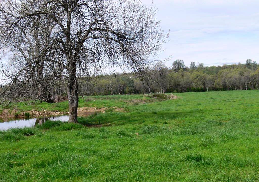 round-house-cattle-ranch-36