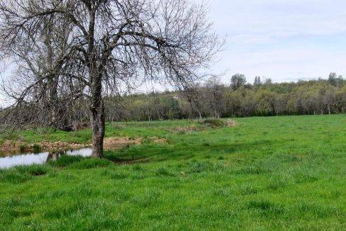 round-house-cattle-ranch-36