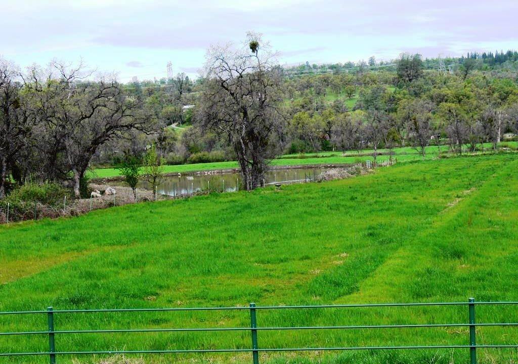 round-house-cattle-ranch-37