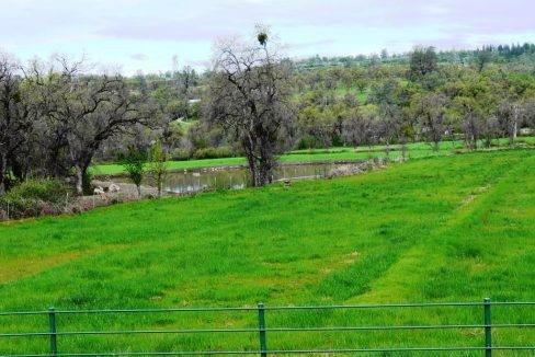 round-house-cattle-ranch-37