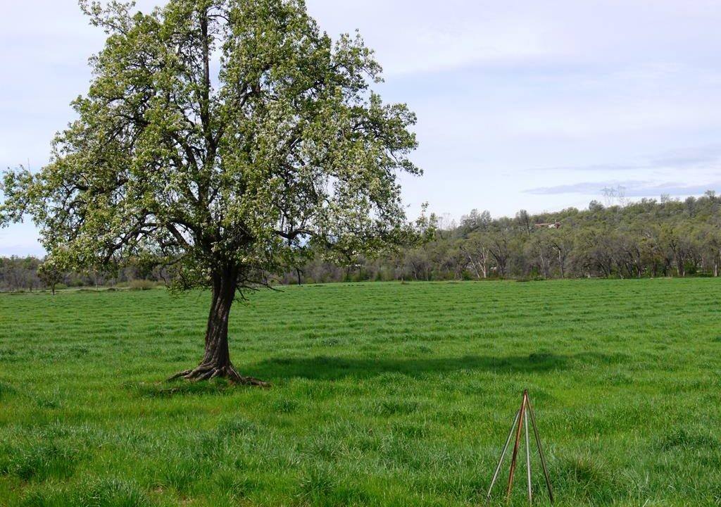 round-house-cattle-ranch-39