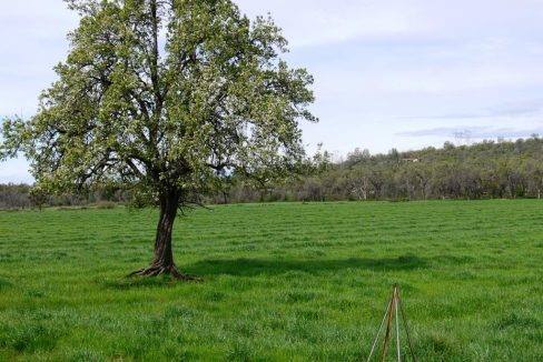 round-house-cattle-ranch-39