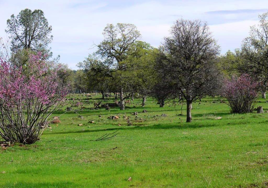 round-house-cattle-ranch-41