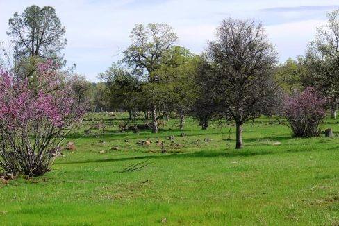 round-house-cattle-ranch-41