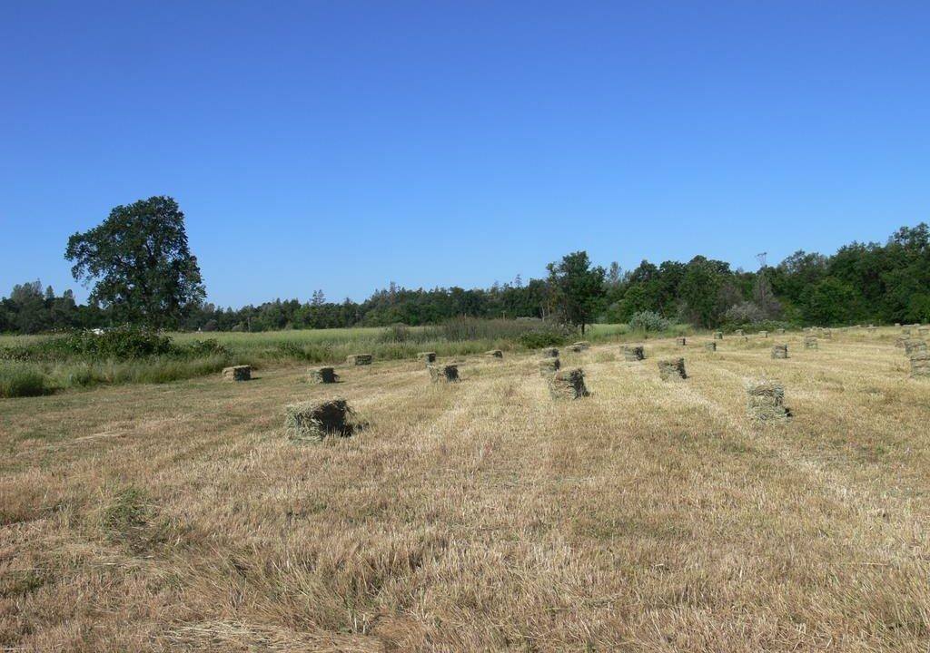 round-house-cattle-ranch-47