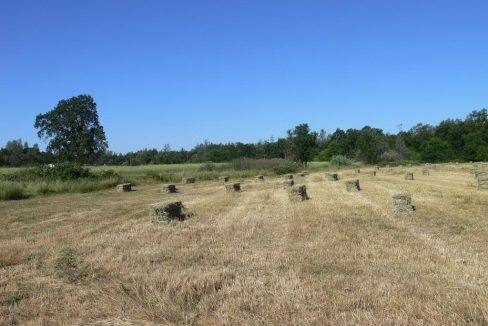 round-house-cattle-ranch-47