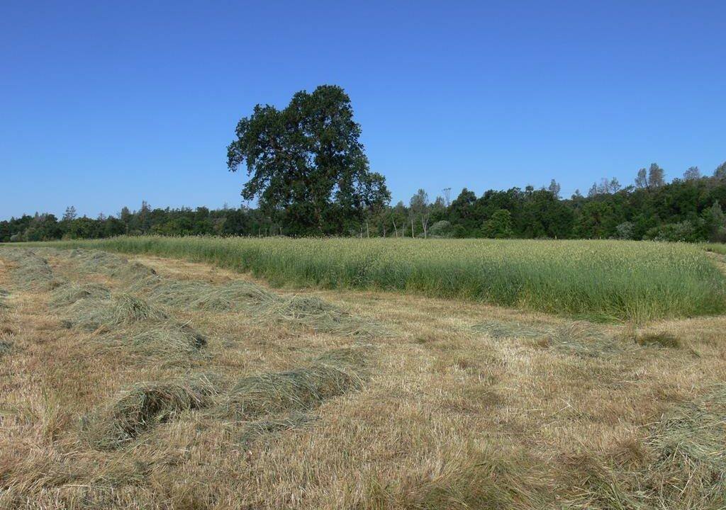 round-house-cattle-ranch-48