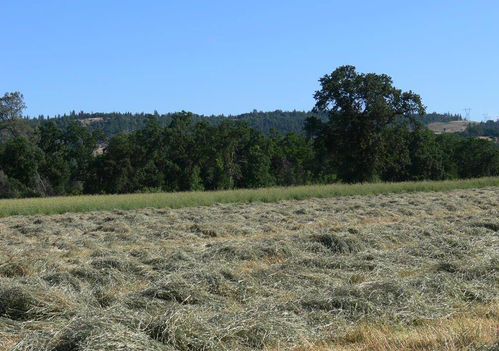 round-house-cattle-ranch-49