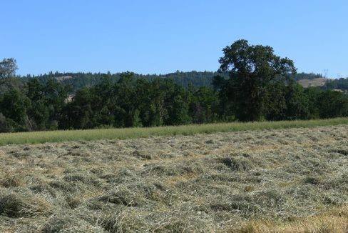 round-house-cattle-ranch-49