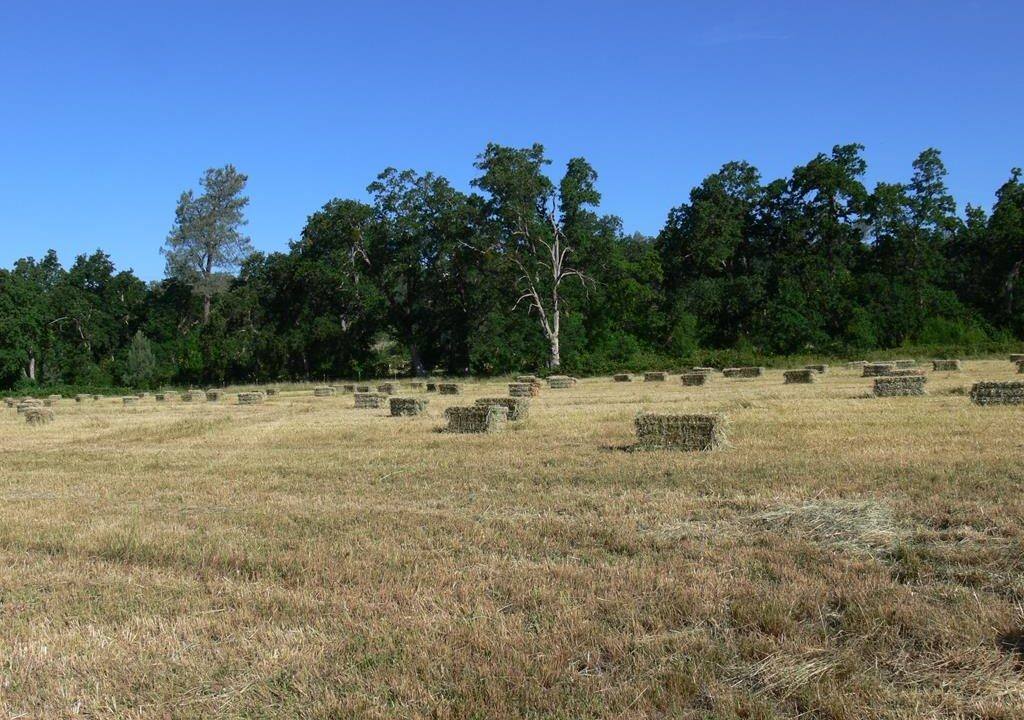 round-house-cattle-ranch-50