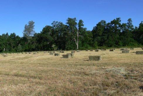 round-house-cattle-ranch-50