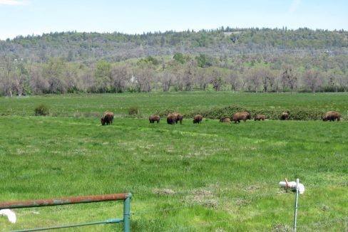 round-house-cattle-ranch-55