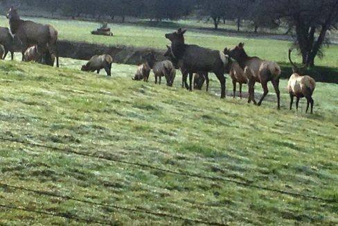 round-house-cattle-ranch-57