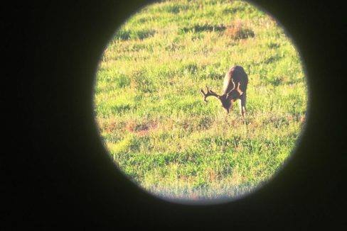 round-house-cattle-ranch-58