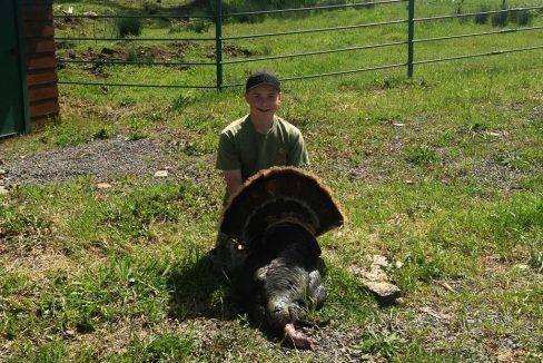 round-house-cattle-ranch-60