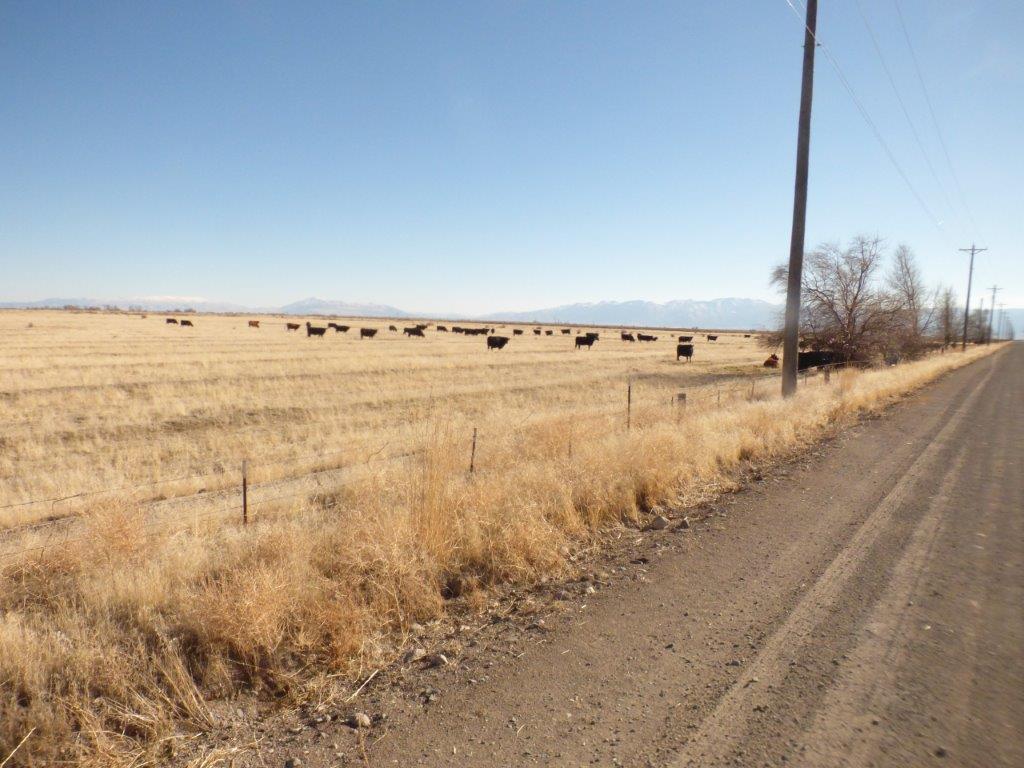 440 Acre Standish Ranch