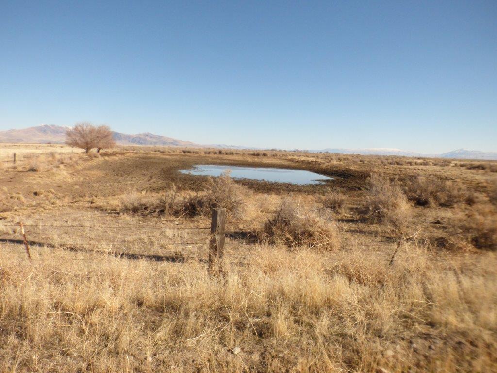440 Acre Standish Ranch
