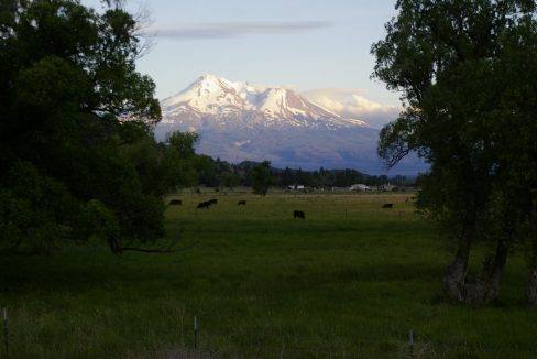 212-ac-little-shasta-acres-01