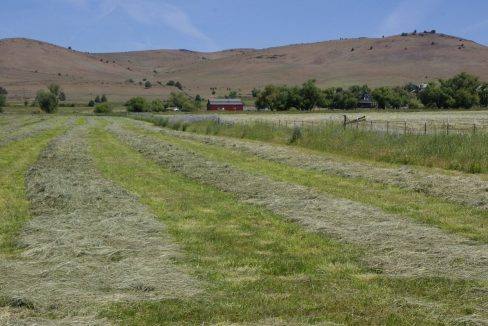 212-ac-little-shasta-acres-07