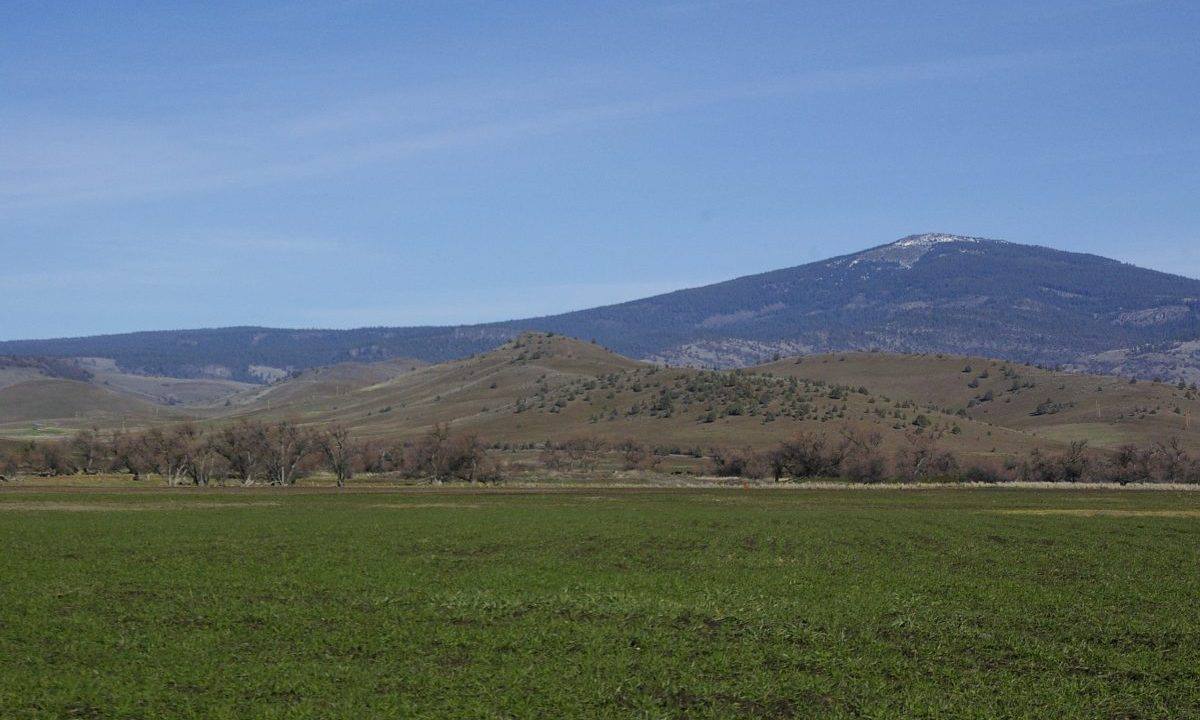 212-ac-little-shasta-acres-12