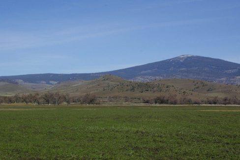 212-ac-little-shasta-acres-12