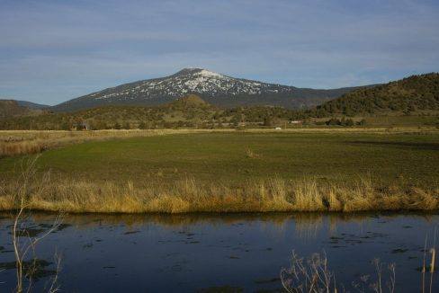 212-ac-little-shasta-acres-13