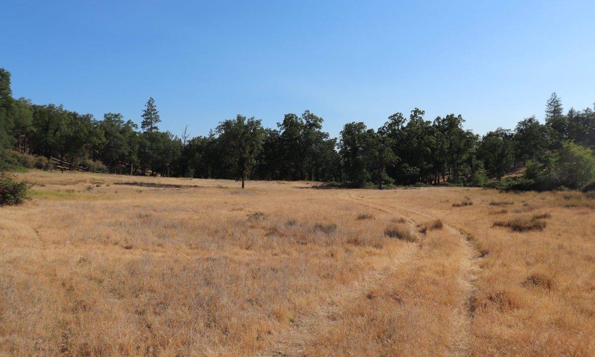 133-acres-whitmore-10