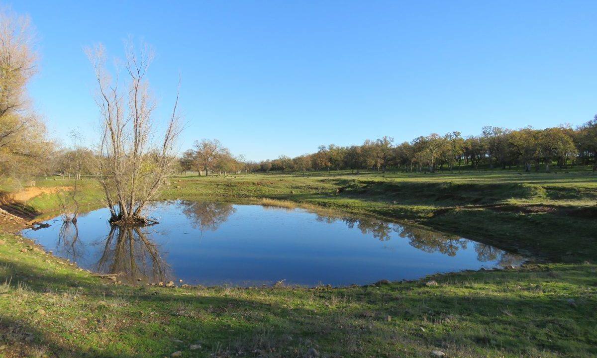 96-acres-millville-horse-ranch-04