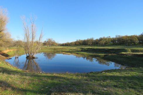 96-acres-millville-horse-ranch-04