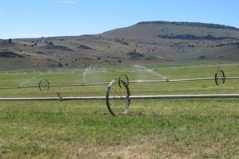 1360-acres-siskiyou-ranch-0