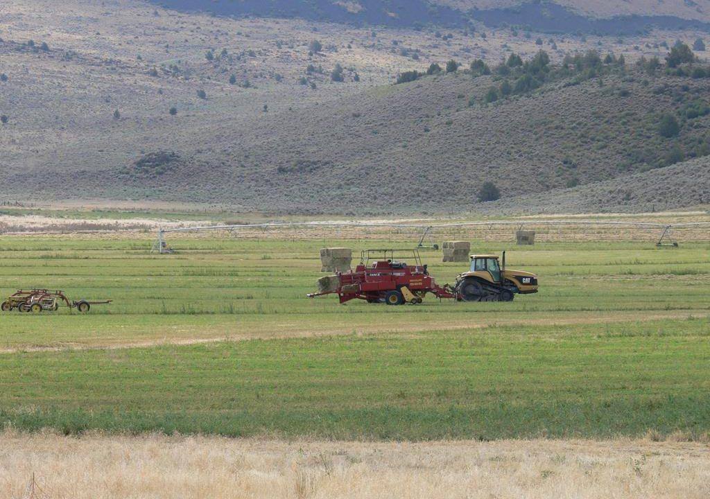 1360-acres-siskiyou-ranch-01