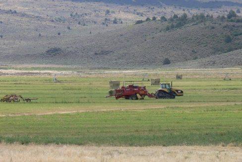 1360-acres-siskiyou-ranch-01