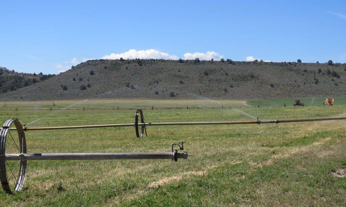 1360-acres-siskiyou-ranch-04