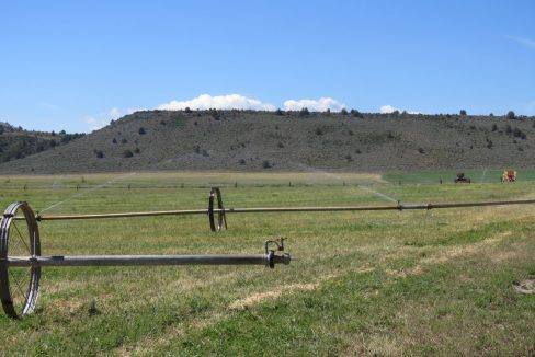 1360-acres-siskiyou-ranch-04