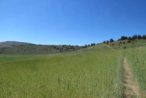 1360-acres-siskiyou-ranch-05