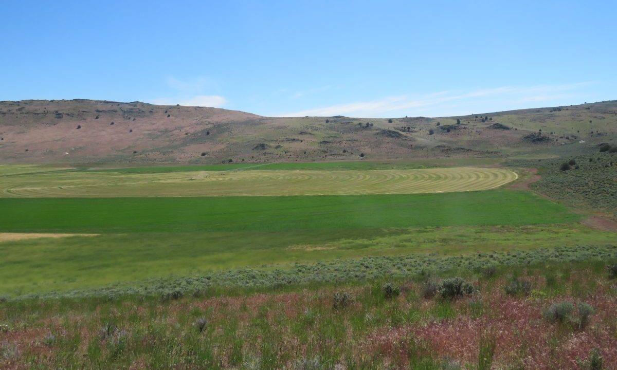 1360-acres-siskiyou-ranch-06