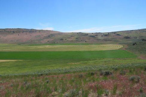 1360-acres-siskiyou-ranch-06