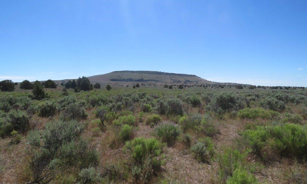 1360-acres-siskiyou-ranch-08