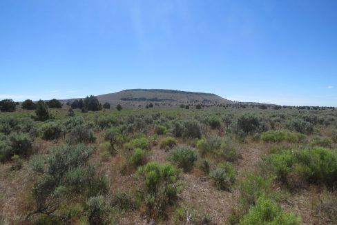 1360-acres-siskiyou-ranch-08