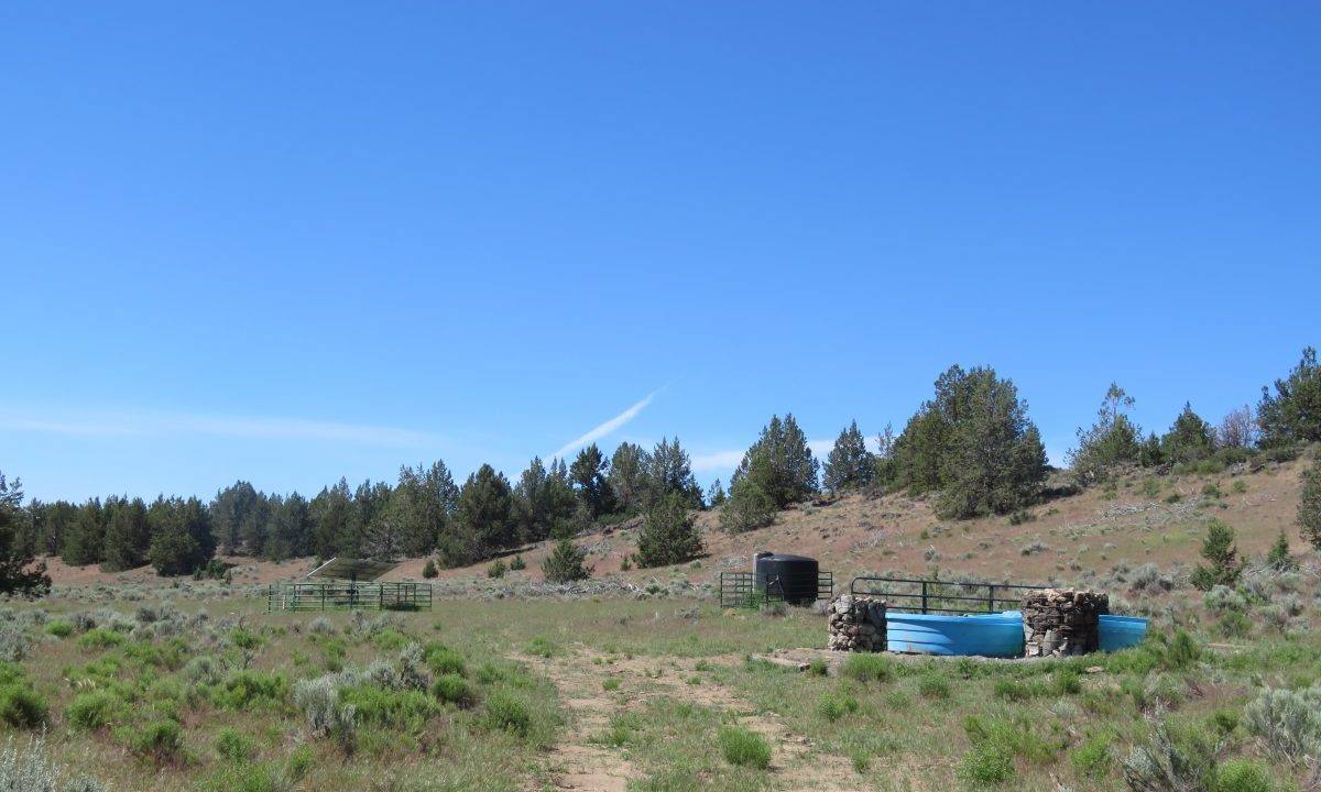 1360-acres-siskiyou-ranch-09