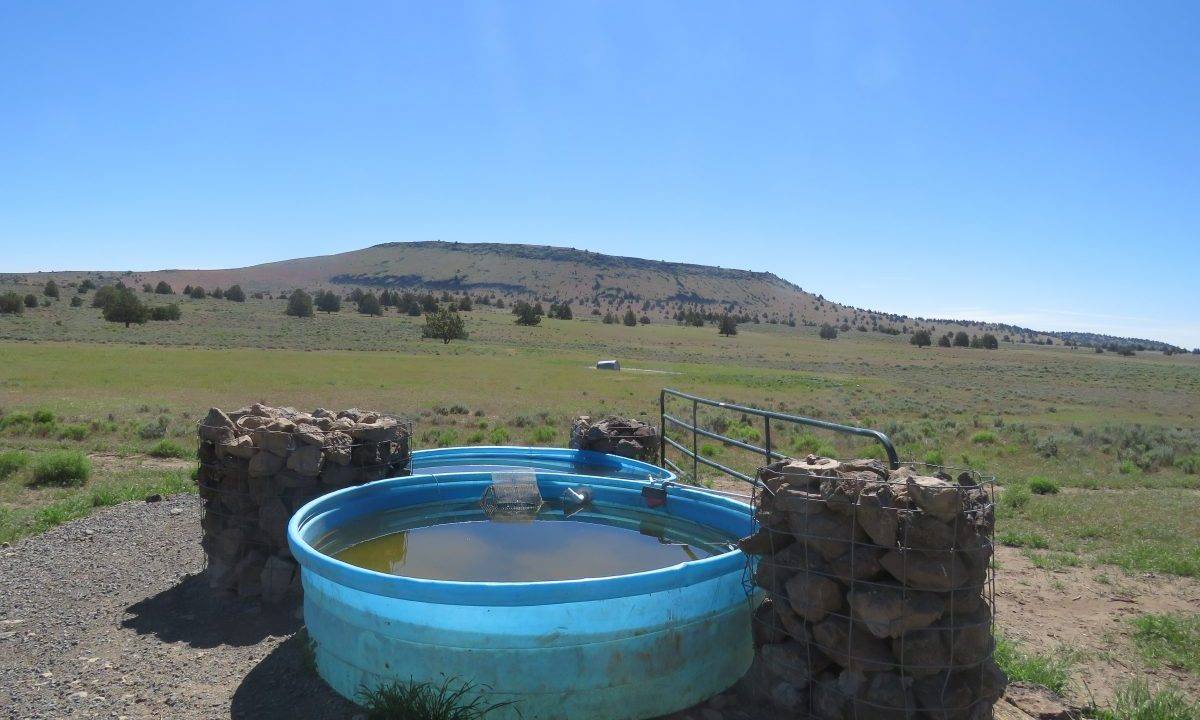 1360-acres-siskiyou-ranch-10